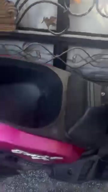 سكنس جبلي للبيع
مكان بغداد سعرها 1150 بيها مجال قليل ***********
