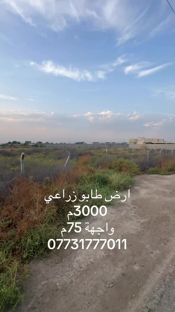 أرض • ٣٠٠٠م