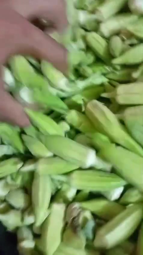 يالله بانيه عراقيه مال سامراء سمسم مال تجميد سعر 1250 يوجد مفرد وكميات تين اصفر عراقي مال سامراء حلو وعلا ضوك سعر 1250 يوجد مفرد وكميات العنوان الامين ثانيه شارع الأرامل مجاور صيدليه اليقين مقابيل أسواق ساقي رقم الهاتف *********** لا يوجد توصيل
