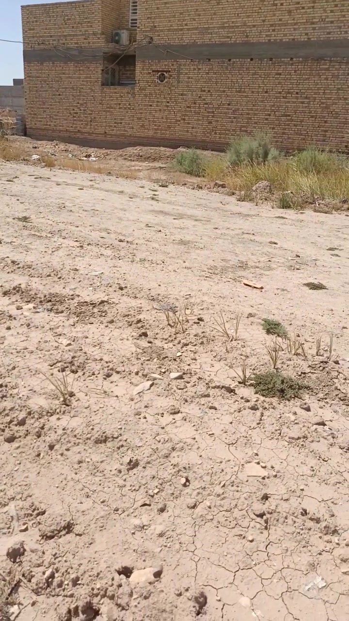 قطعه للبيع زراعي مساحه 208 حي لكوفه مقابيل بانزين خانه حجي عبد الحسن ملاغي قريبه عله شارع بني زيد تصال عله هاذه رقم سعر مناسب ***********
