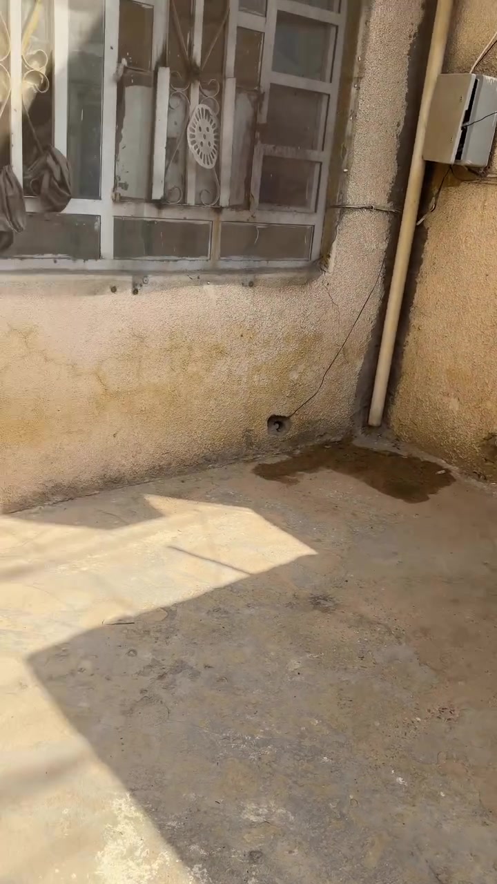 مشتمل • ١٠٠م • الشعب الزراعي
