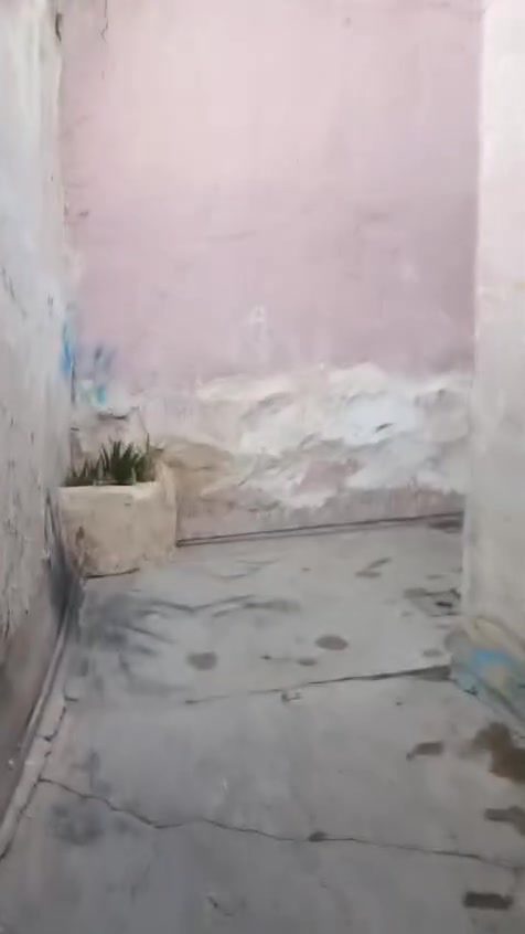 دار لايجار 
يحتوي على غرفتين نوم مع مطبخين حار او بارد او استقبال
او صحيات
سعر الايجار 250الف و كهربا او ماء على صاحب البيت
في منطقة القوريه
قرب جامع عبدالله بن عمر
***********
