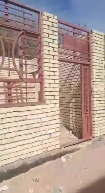 يا الله هيكل 100 متر طابو صرف سند 25 قرار محكمة 
كربلاء الحر الصغير حي الهادي 
***********

