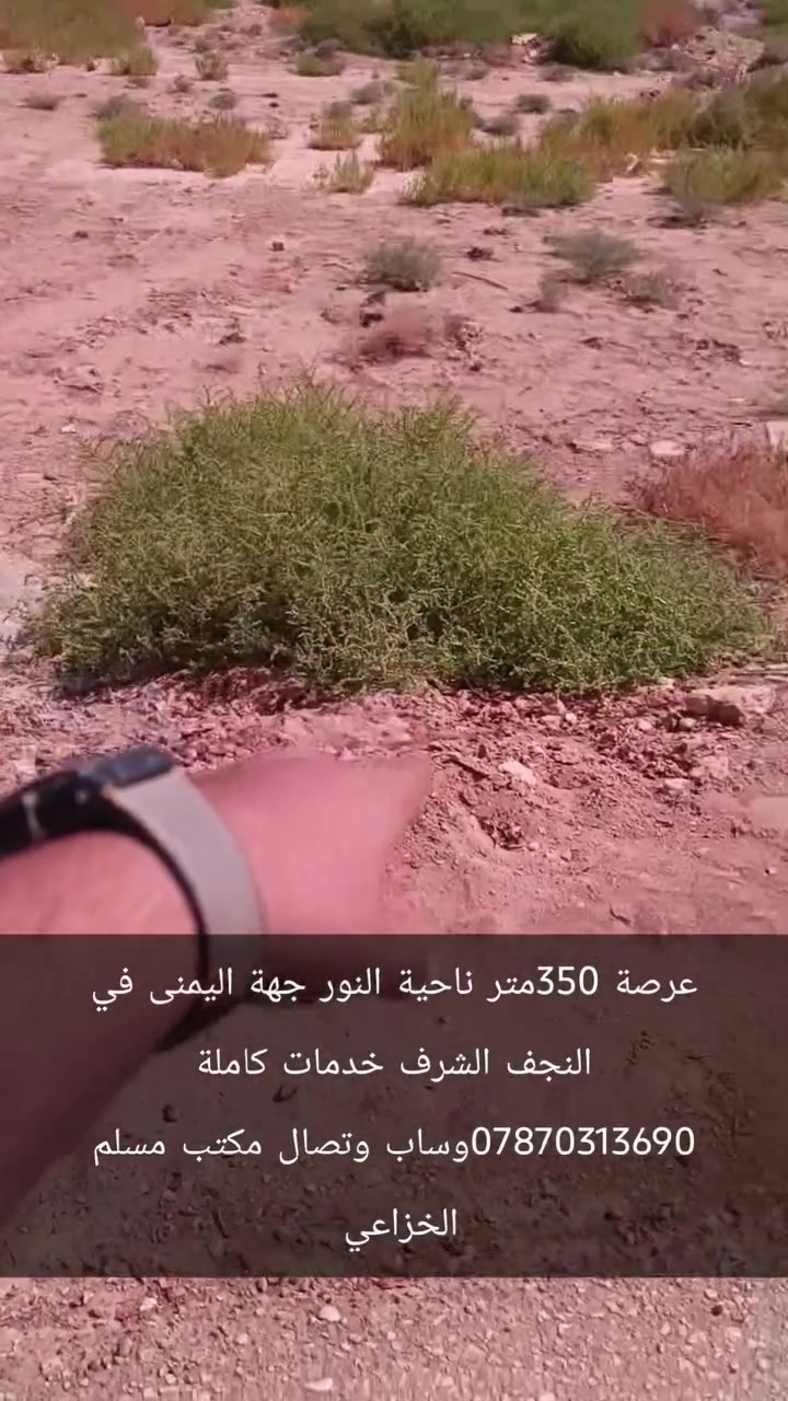 ‏عرصة 350متر النجف ناحية النور طابو صرف اصلي 
‏الجهة اليمنى الخدمات كاملة  موقع مميز سعرمناسب جدآ
‏      للاتصال ***********  وتساب
‏علما اننا مستعدون لبيع وشراء قطع اراضي ناحية النور 
‏تبعد هاذ المنطقة عن مرقد الامام علي عليه السلام /7كيلو  تمنياتي لكم حياة افضل   @MuslemAqeel
‏#مكتب_مسلم_الخزاعي
