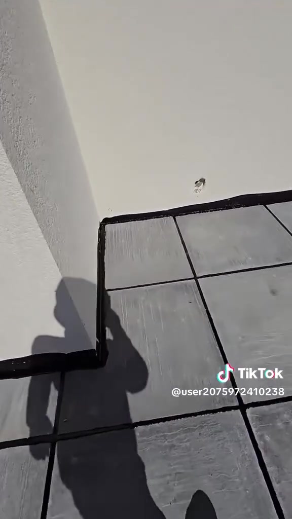 لاحضو كيف يتم عمل السطوح با الشتايكر شرط لفحص ***********

