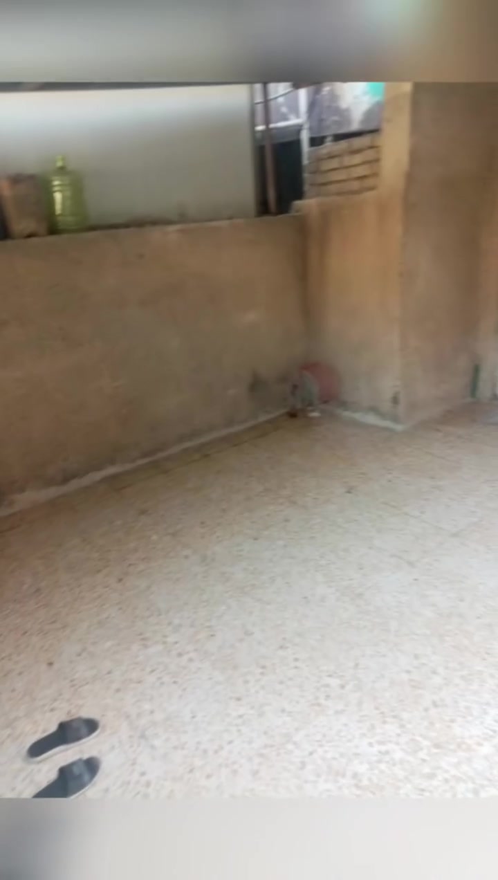 لبخ وجهات طلس فوم صبغ شغل درجة اولى سعر مناسب متفرغ ***********   ***********
