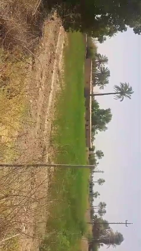 دونم ونص طابو ملك صرف حجه سوداء بيه كافه الخدمات في ابوغريب حميد شعبان الكراغول ***********
