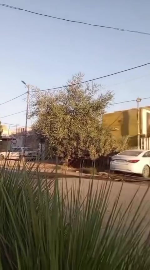 المساحه 100 متر  دولان(ممر)
الموقع - حي الوحده تقاطع شارع الزهور نهايه شارع الملعب 
للاستفسار الاتصال على الرقم ***********
