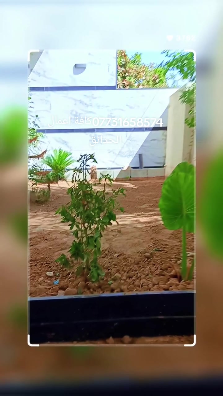 شغلي حدائق داخل الموصل قص ثيل تقليم الاشجار 🌲والحدائق قلع الاشجار المضره من الجذرر  تصميم حدائق زرع الثيل زرع النباتات  تنضيف كافة الحدائق والمزارع وتقليمها للاتصال او مراسلة واتساب ***********.. ***********
