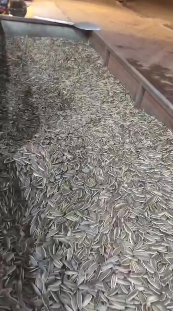 حماصة ابو حذيفة الهيتي / البيع مفرد /جملة 
العنوان هيت حي المعلمين مجاور شركة صدئ الناعور 
اجود انواع حب الشمس المحمص  
للتواصل واتساب ***********
