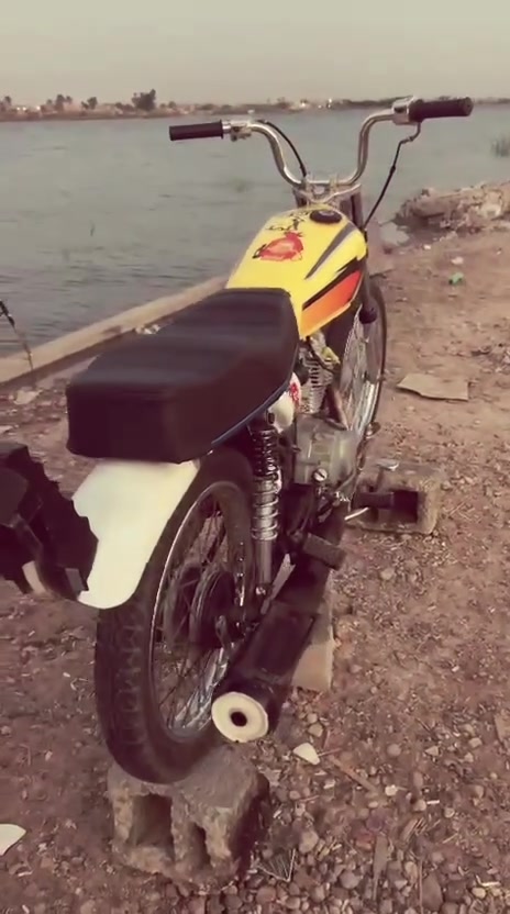 رابيدو • مبدل • رقمي