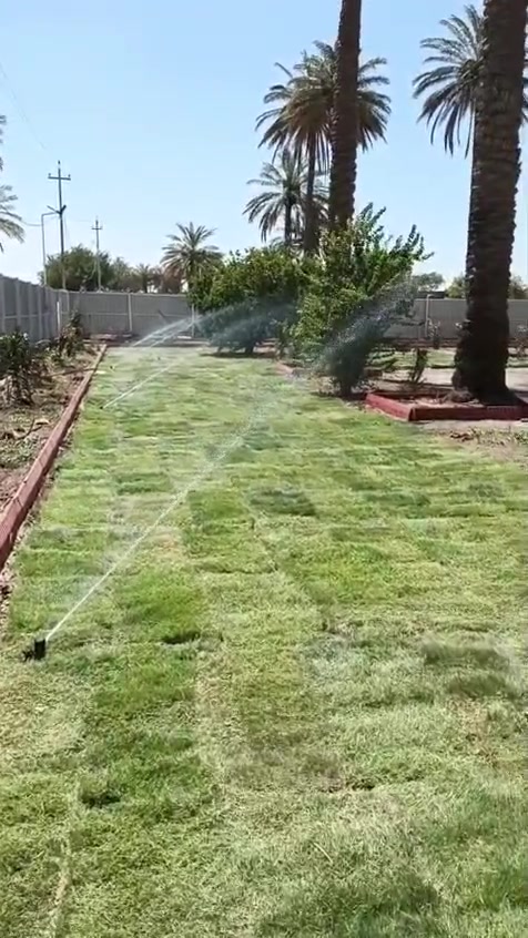 سلام عليكم على بركة الله عملي تجهيز مزارع ديكورات حدائق تجيز حدائق من اشجار لحمضيات ازهار وكذالك يتوفر لدينه انوع فسائل النخيل ونشتغل كل انواع الأين
مع فرش ثيل درجه اولئ وكذالك ادامة الحدائق تنضيف قص الشجار عمل درجه اولئ 
الاستفسار اتصال على هاذء رقم ***********
