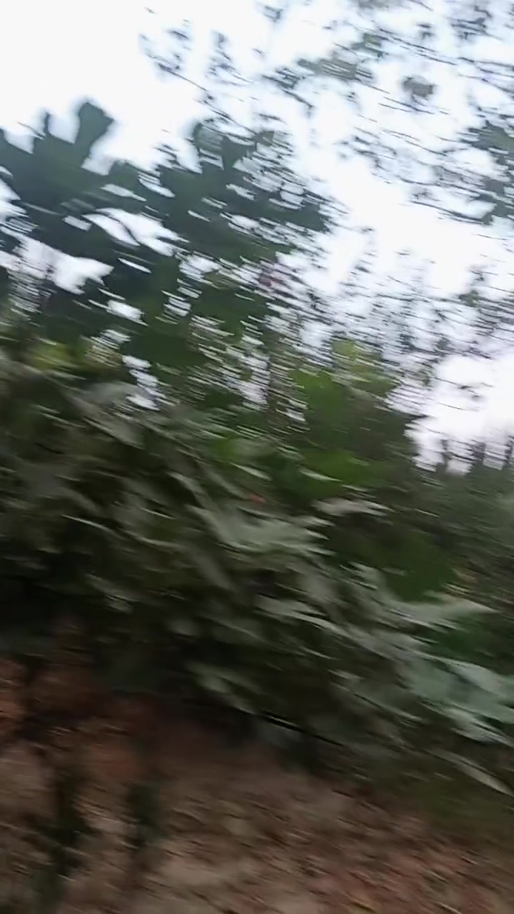 كركوك • ٤ دوانم • سند ٢٥