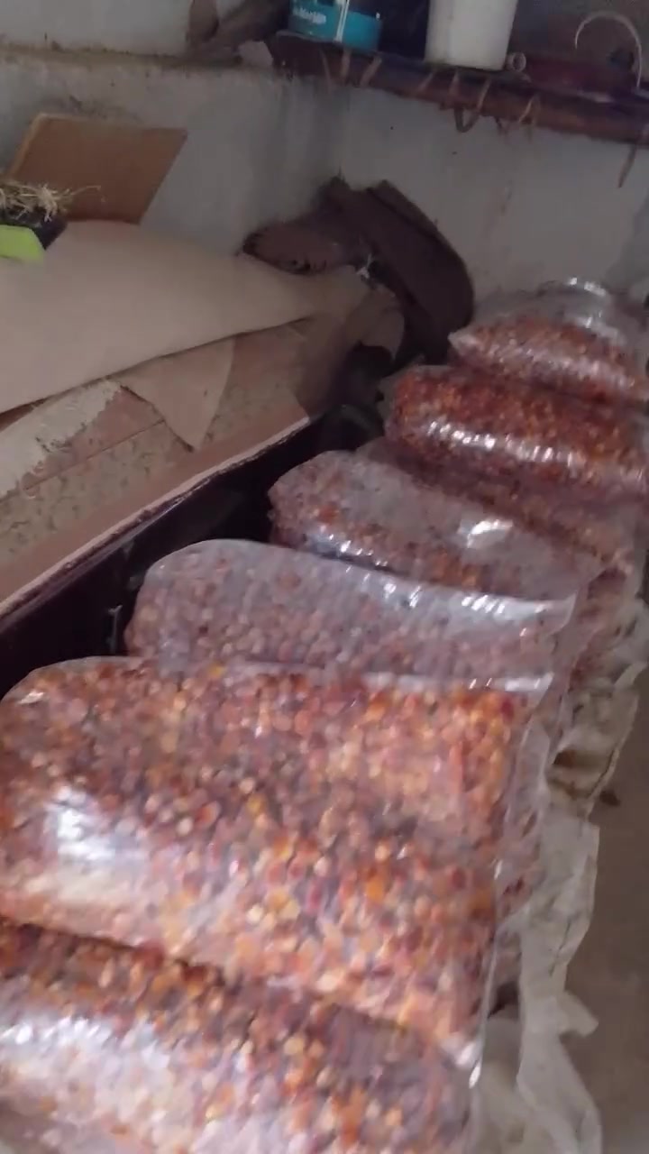 تمر لبيع رقم تصال ***********

