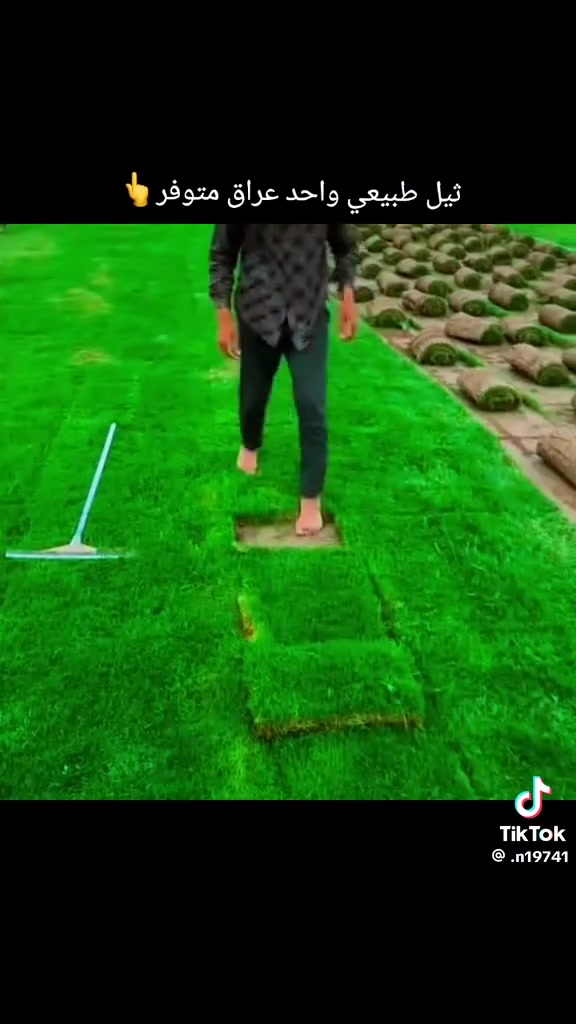 مزارع  الشمال للثيل الطبيعي 🍀
متوفر كافة انواع الثيل 🍀
( امريكي - الهندي - الايطالي - الفرنسي )
لتجهيز... مشاتل🌴
والدوائر حكوميه🏦
منازل🏡 
منتزهات🏄
موجود خدمة توصيل 🚕
لكل محافظات العراق 🚕
للطلب يرجى التواصل مع الصفحة او مراسلة واتساب او الاتصال على :
***********
