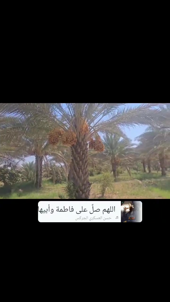 بستان • ١٠ دونم • قرب قناه كربلاء