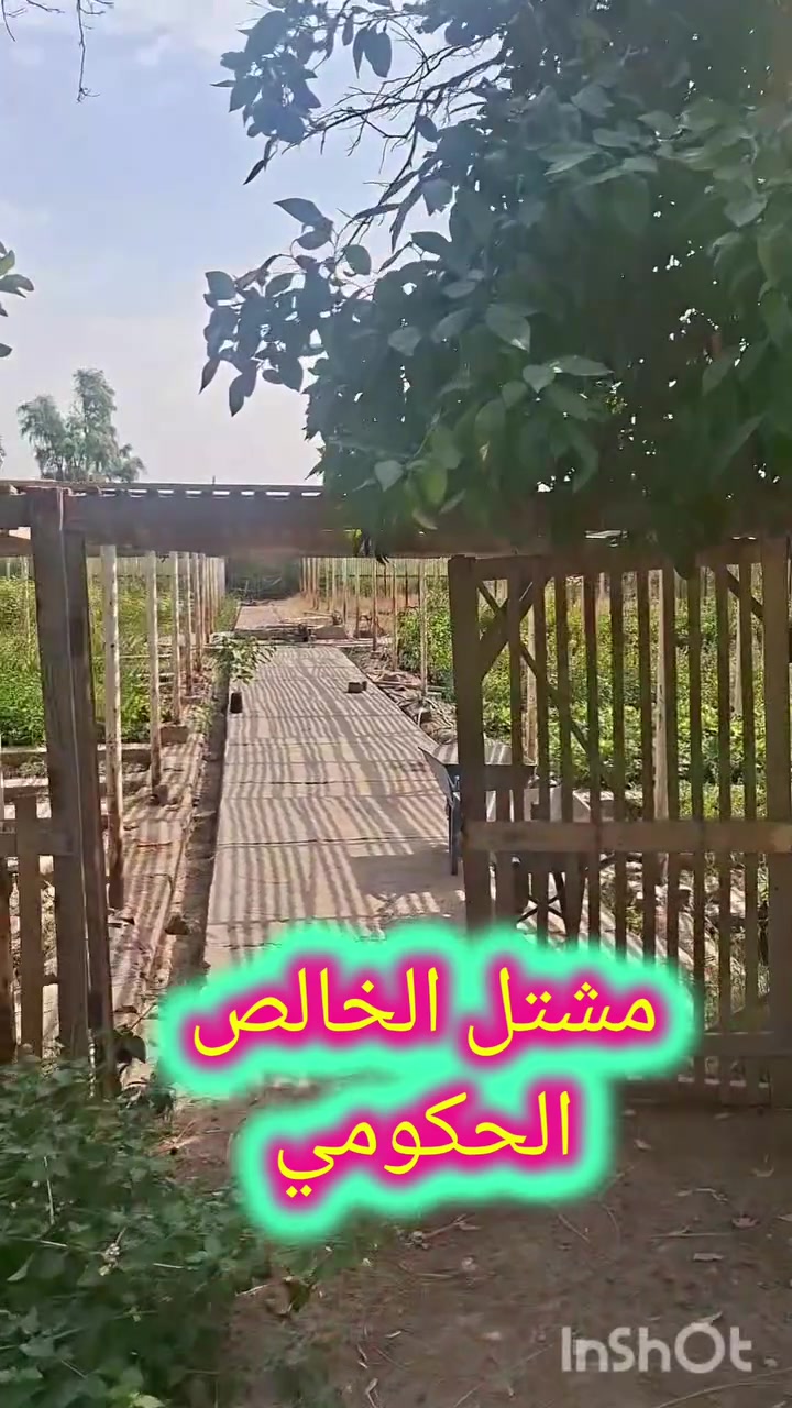 مشتل الخالص • عنب وتين • أسعار مدعومة