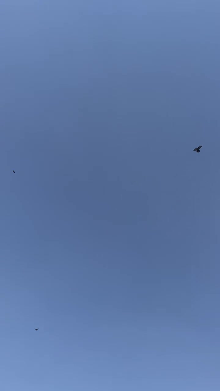 ١٥ حمامه • بغداد جديدة • زوج