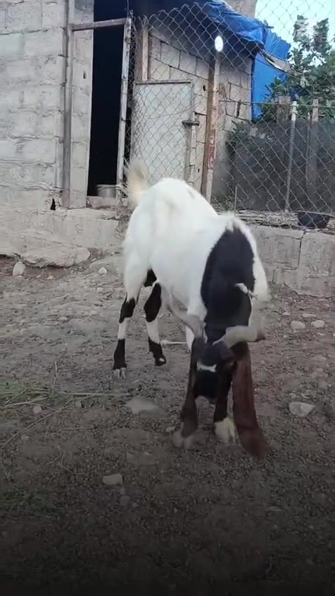 للبيع • قطعة صغيرة