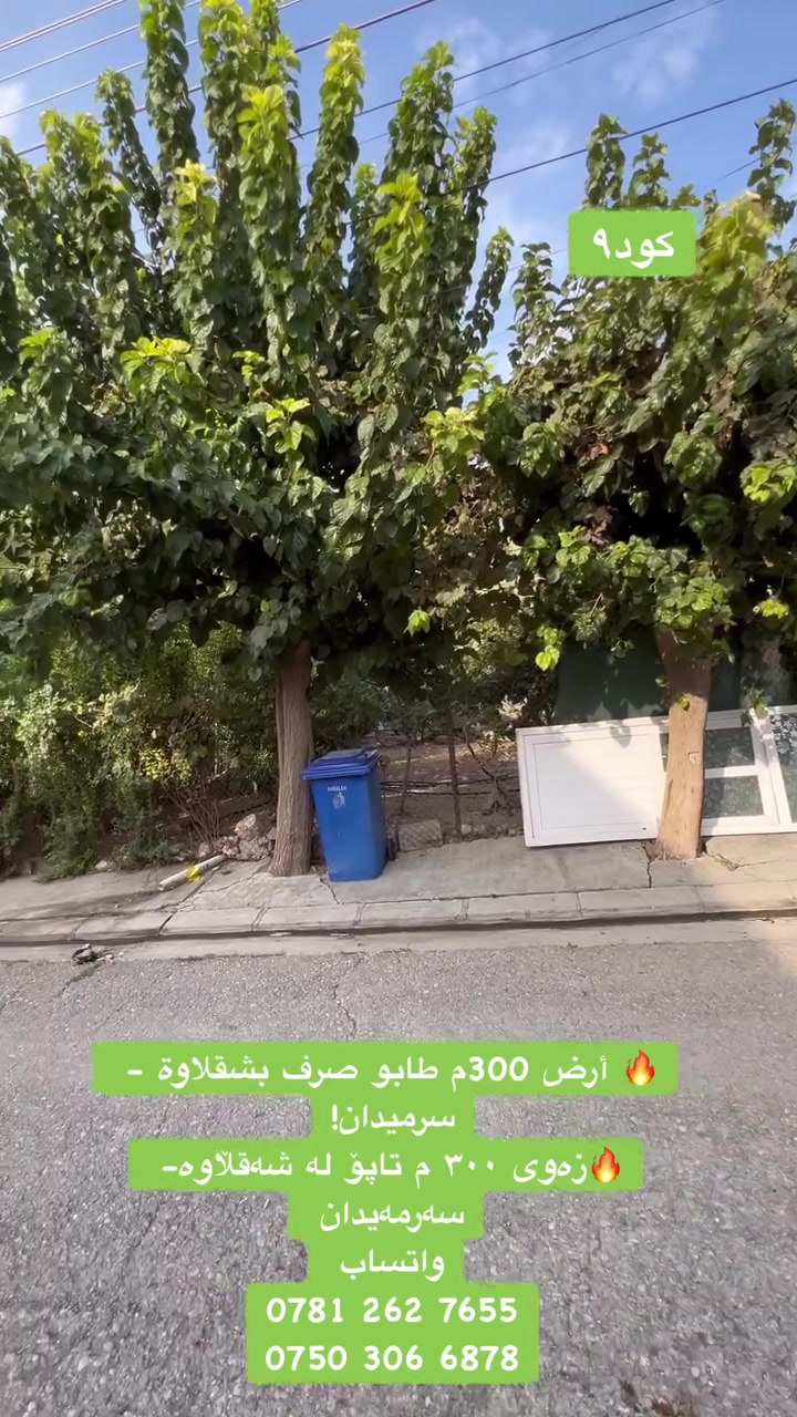 شقلاوة • ٣٠٠م • طابو صرف