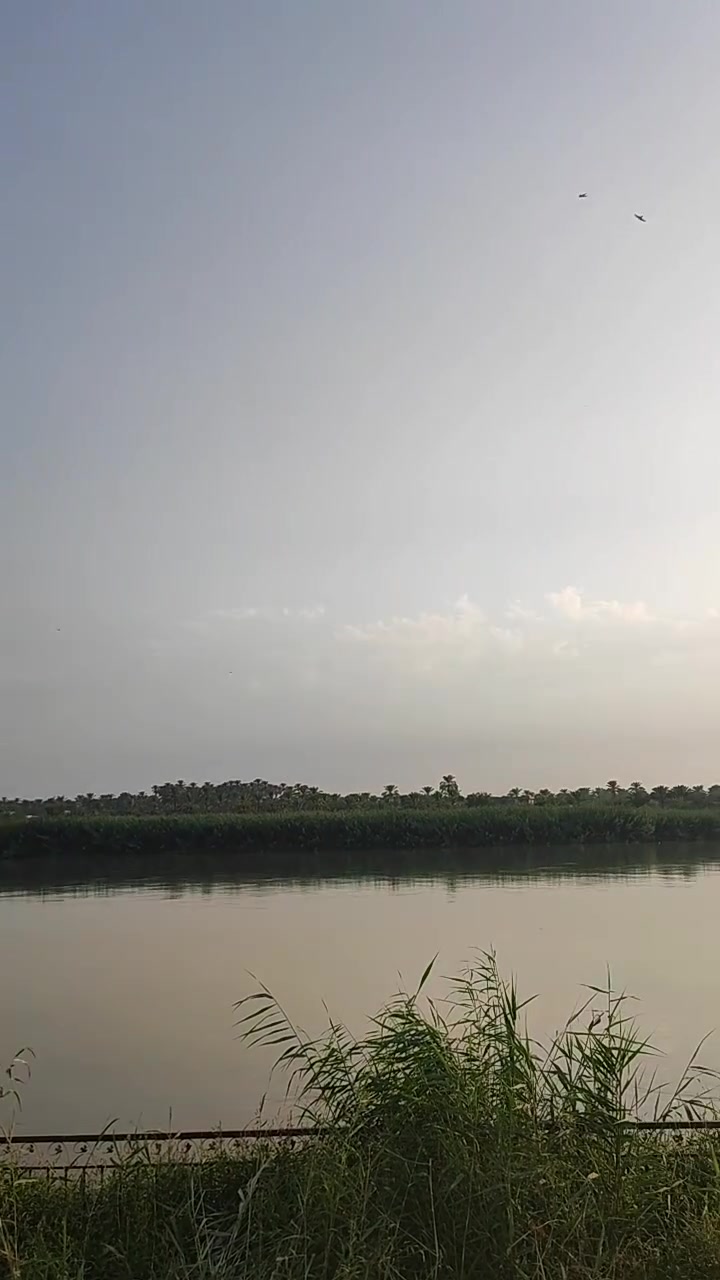 بستان شاطيه للبيع
المساحة 4 دونم
طابو زراعي سند 25 
ديالى منصوريه الشط 
للاستفسار ***********
