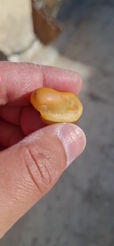 سلام عليكم اخوكم على المحمداوي 
الحجار الكريمه بيع وشراء جميع 
الحجار الكريمه تواصل على رقم الهاتف 
***********
