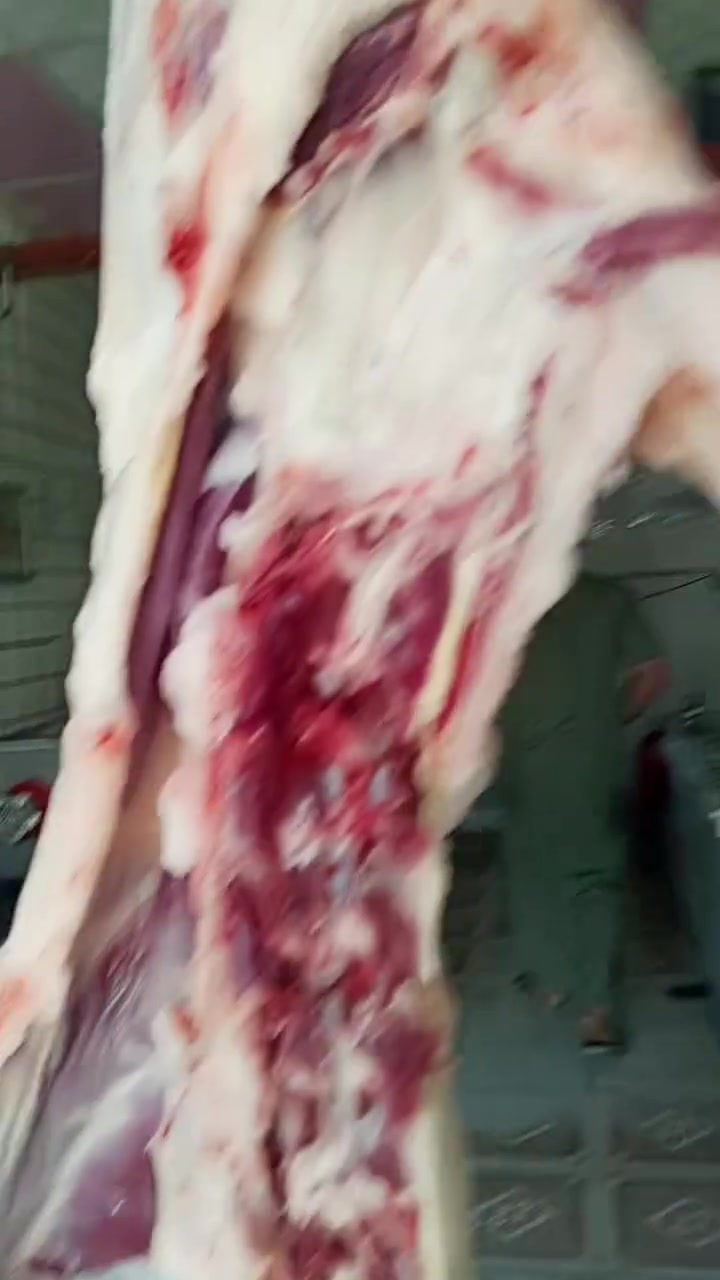 اطلاله جميله الغوالي صلو على سيدنا محمد وعلى اله وصحبه اجمعين 

يم لحوم الجزيرة لحم الغنم 16 الكيلو 
لحم عجل الكيلو 14الكيلو

سامراء شارع الحداحده مجاور سراج ابو الشربت لحوم الجزيرة 
***********
