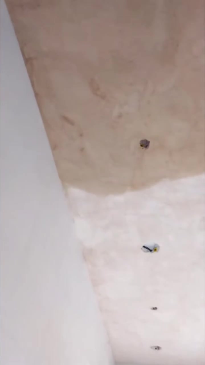 سلام عليكم انه خلفه البخ و صطار جص حسب الطلب بسعر مناسب حالين متفرق ***********
