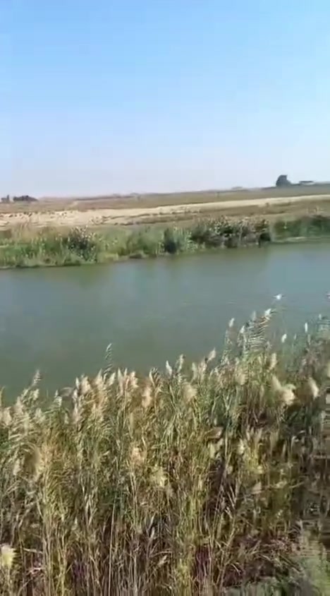 طابو زراعي • نهر الفرات • ٣٠-١٠٠٠ دونم