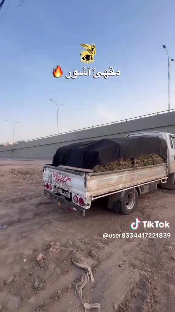 مقهى آشور • الزعفرانية • صالة ألعاب ٤×٤