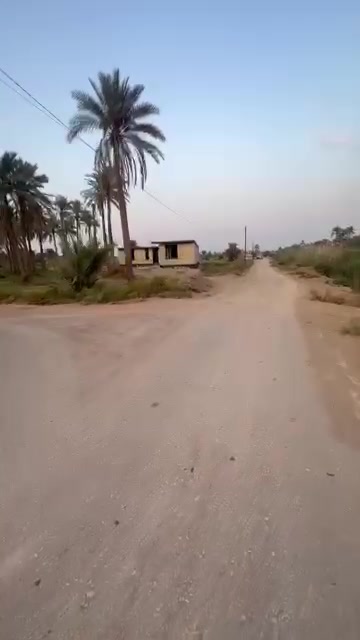 دونم ونص • هيكل عظم • كربلاء طويريج