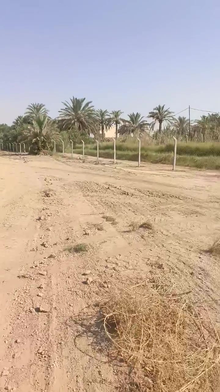 ٥ دوانم • الداحره • شاطية