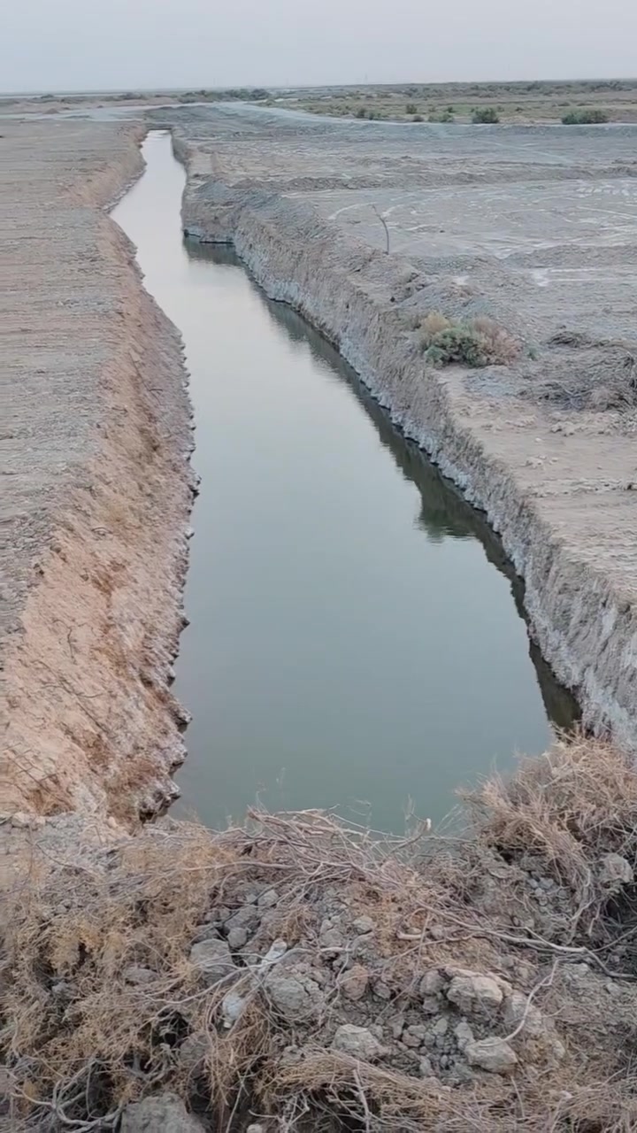 السلام عليكم
أرض للبيع مساحتها ١٢ دونم 
الواجه ١٢٠م × النزال ٢٨٠م
سوق الشيوخ نزلت الاساله طريق الخميسية قرب الدواجن
للاستفسار التواصل على الرقم التالي 
***********
