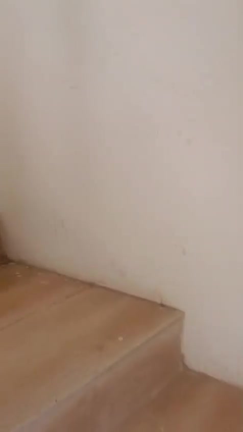 شقة اللايجار طابق الاول ٢نوم وصاله ومطبخ وحمام ( اليرموك حي النفط خلف جامع ام طبول (***********

