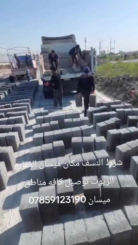 فول • درجه اولى • توصيل ميسان