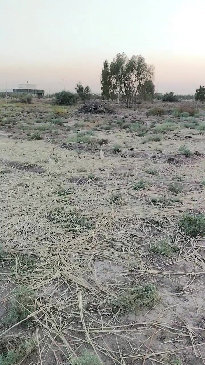 للبيع ربع دونم سند ٢٥ طابو الواجهة ٢٤ نزال ٢٧  كافه الخدمات مي كهرباء سحب الموقع مقابل القريه النفطية الاستفسار ***********
