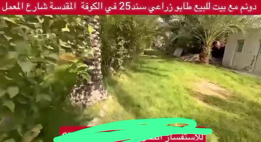 الكوفه البراكيه • ٢٥٠٠م • دار وحديقة