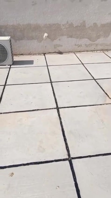السلام عليكم ورحمه الله وبركاته
نشتغل  السطح زفت وماستك واللي يحب يتفضل على هذا الرقم ***********
