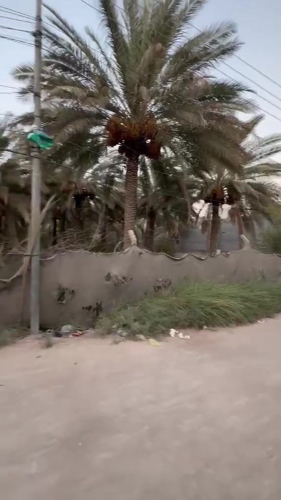 سعر البستان ٩٥ مليون موقع الشبانات خلف دار الايتام قرب حولي ابو مهدي المهندس واجهه ٢٥ والنزال ٣٣
سند ٢٥ قرار محكمة
سعر البستان ٩٥ مليون موقع الشبانات خلف دار الايتام قرب حولي ابو مهدي المهندس واجهه ٢٥ والنزال ٣٣ للاستفسار المراسله على رقم تالي ***********
