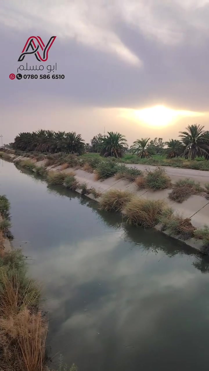 أرض • تفاصيل بالفيديو • واتساب