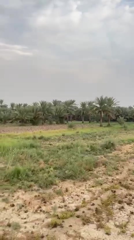 ٢ دونم • واجهة ٤٢م • طابو سند