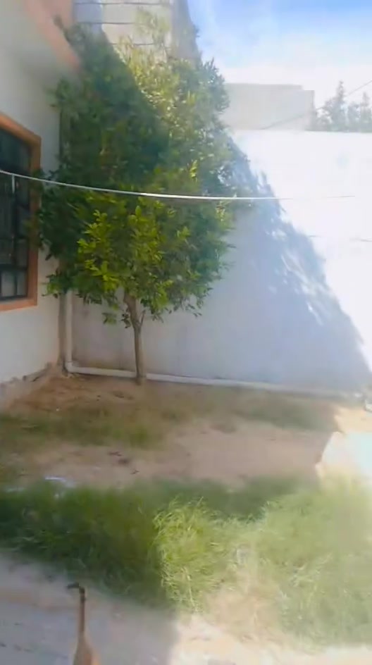 السلام عليكم البيت للبيع سند طابو مساحه ١٥٠متر مكان  ت
البيت حي صدام قريب عل جامع حبيبنا مصطفى تواصل معا صاحب البيت ***********
