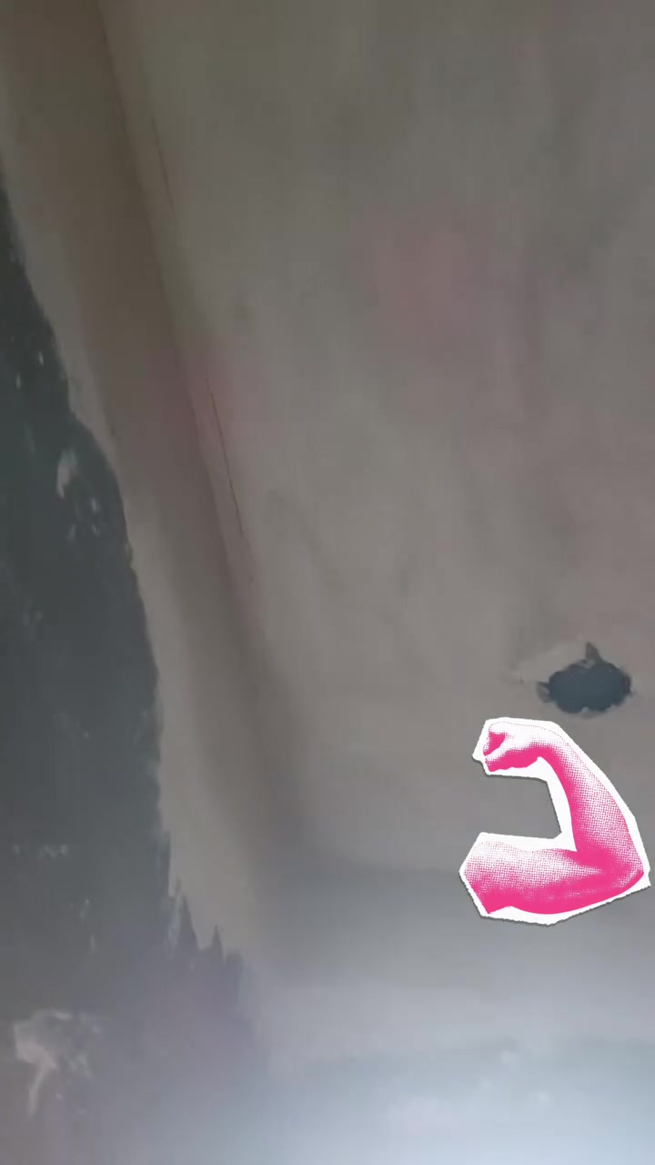 شغل درجه اولى • بخ • بياض وجص