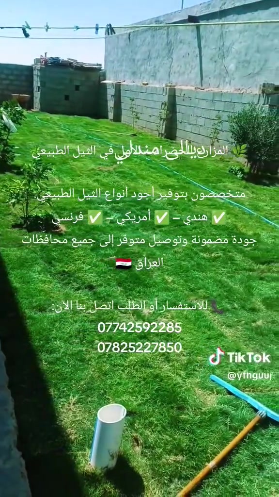 🌿 المزارع الخضراء – الأول في الثيل الطبيعي

متخصصون بتوفير أجود أنواع الثيل الطبيعي:
✅ هندي – ✅ أمريكي – ✅ فرنسي
جودة مضمونة وتوصيل متوفر إلى جميع محافظات العراق 🇮🇶

📞 للاستفسار أو الطلب اتصل بنا الآن:
***********
***********
