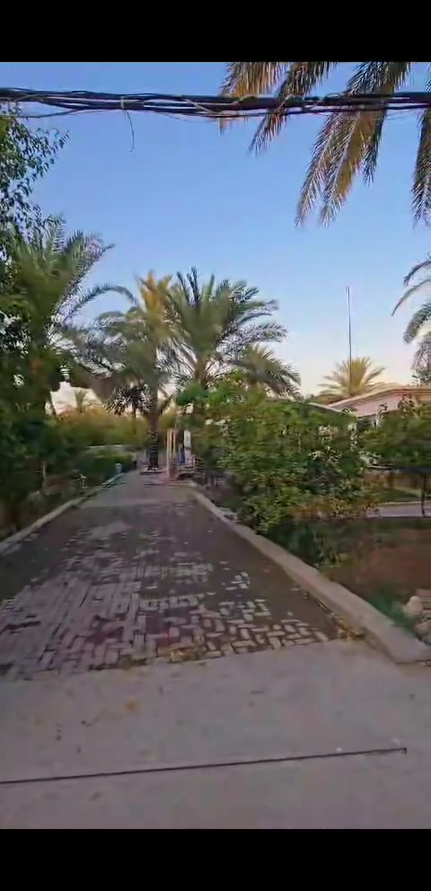 🏡 ════ ✨ بسم الله الرحمن الرحيم ✨ ════ 🏡

✨ فرصة لا تتكرر... إذا كنت تبحث عن مكان يجمع بين الهدوء، الطبيعة، والاستثمار، فلا تفوت هذا العرض المميز! 🌿🏊

📍 العنوان: بغداد / الراشدية / البوحيات

🌳 مزرعة للبيع بمساحة دونم كامل 🏡 تضم دار استراحة مريحة 🏊 مجهزة بمسبح 📜 نوع السند: طابو 25

✅ مناسبة للاستجمام والجلسات العائلية. ✅ موقع هادئ وجميل يوفر الخصوصية والراحة. ✅ فرصة ممتازة للاستثمار أو الاستخدام الشخصي.

📞 للاستفسار: *********** ***********

🌹 مع خالص الشكر... أبو أيمن للعقار

#أبو_أيمن_للعقار #بغداد #الراشدية #البوحيات #مزرعة_للبيع #استراحة #مسبح #طابو25 #عقارات_العراق #استثمار
