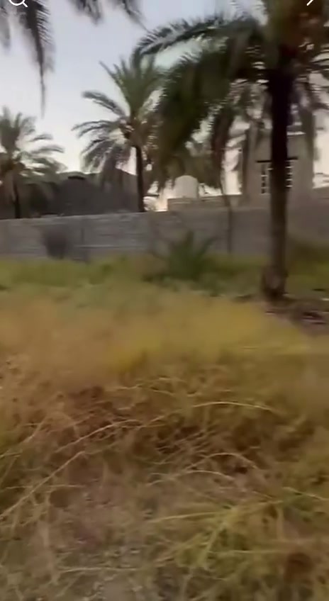دوانم البيع  عنوان كربلاء
طريق بغداد شارع يا حسين
عامود 92 ع شارع العام ركن
بشارع الرايح إلى كربلاء
ينباع قسم منا وينباع كامل
التواصل الاستفسار  ع الأرقام 
***********
