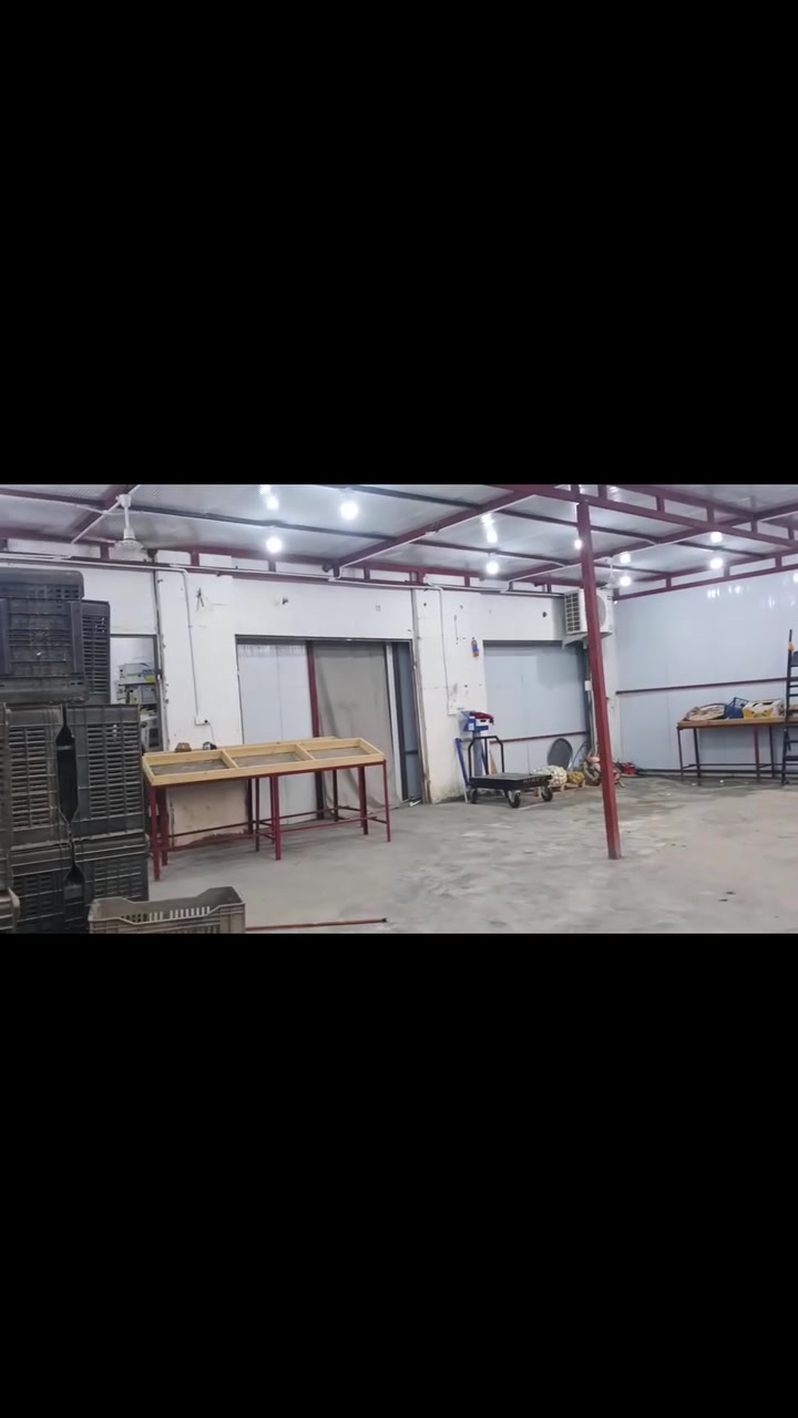 سقيفة • سندويج جديد • ١١٧م