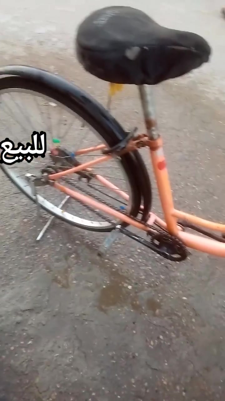السلام عليكم بايسكل للبيع سعره 30بي مجال حجم 26 العنوان بغداد البياع الشرطة الخامسة
***********
بي واتساب
