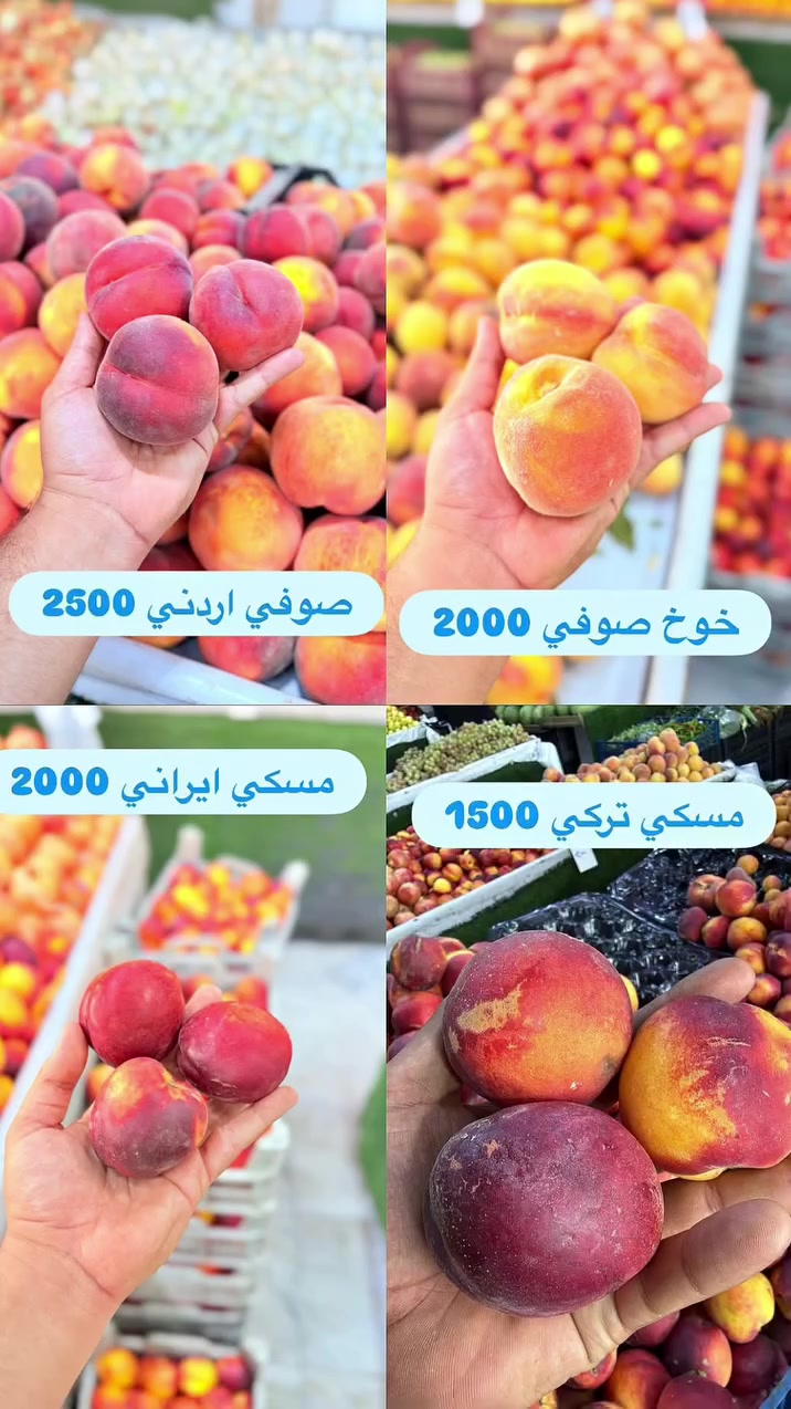 عندج خطار ومحتارة بالمسواك؟ 🥬🥩
عندك دوام وما تلحك تتسوق؟ ⏰
لا تشيل هم… طويريج دلفري موجود 🛵❤️
دز طلبك على الواتساب، وإحنا نتسوقلك ونوصله لباب بيتك بأسرع وقت ممكن 📦🔥
🥬 خضار وفواكه
🥩 لحوم ودجاج
🛍️ طلبات من الأسواق
💊 أدوية ومنتجات صيدلانية
وغيرها…
📲 للطلب والاستفسار على الواتساب ***********
طويريج دلفري ... خليك مرتاح ❤️🛵
#طويريج_دلفري #طويريج  #كربلاء #توصيل
