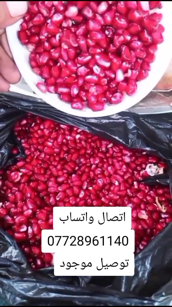رمان • درجه اولى